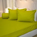  Bộ Ga Bọc Cotton Guni Màu Cốm (18) 