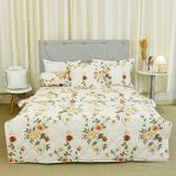  Bộ Ga Bọc Cotton Satin Deluxe 7 