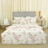  Bộ Ga Bọc Cotton Vanila (Vỏ Gối Lót Gòn) 456 