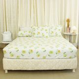  Bộ Ga Bọc Cotton Vanila (Vỏ Gối Lót Gòn) 461 