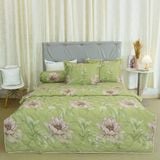  Bộ Ga Bọc Cotton Satin Luxury 315 