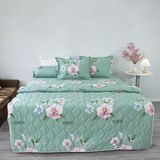  Chăn Lẻ Cotton Vanila 253 