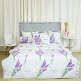  Bộ Ga Bọc Cotton Vanila (Vỏ Gối Không Lót Gòn) 440 