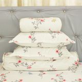  Bộ Ga Bọc Cotton Vanila (Vỏ Gối Lót Gòn) 456 