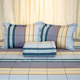  Bộ Ga Bọc Cotton Guni Họa Tiết 3 