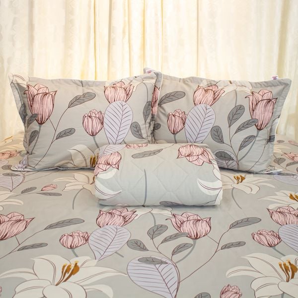  Chăn Lẻ Cotton Vanila 269 