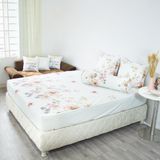  Bộ Ga Bọc Cotton Vanila (Vỏ Gối Không Lót Gòn) 271 