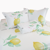  Bộ Ga Bọc Cotton Vanila (Vỏ Gối Lót Gòn) 309 