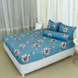  Bộ Ga Bọc Cotton Satin 185 