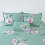  Chăn Lẻ Cotton Vanila 253 