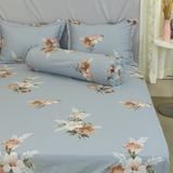  Bộ Ga Bọc Cotton Satin Deluxe 14 