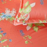  Bộ Ga Bọc Cotton Galaxy Satin B22 