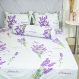  Bộ Ga Bọc Cotton Vanila (Vỏ Gối Lót Gòn) 440 