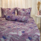  Bộ Ga Bọc Cotton Satin Luxury 341 