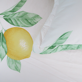  Bộ Ga Bọc Cotton Vanila (Vỏ Gối Lót Gòn) 309 