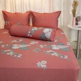  Bộ Ga Bọc Cotton Satin Luxury 344 