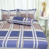  Chăn Lẻ Cotton Vanila 459 