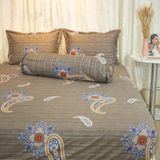  Bộ Ga Bọc Cotton Vanila (Vỏ Gối Không Lót Gòn) 260 