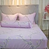  Bộ Ga Bọc Lụa Modal 67 