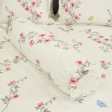  Bộ Ga Bọc Cotton Vanila (Vỏ Gối Lót Gòn) 456 