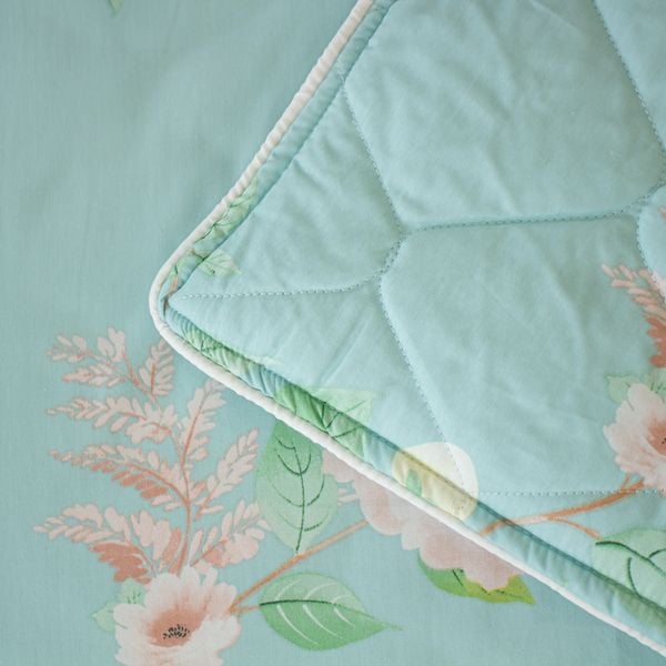  Vỏ Gối Lẻ Cotton Vanila 262 