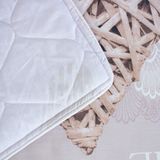  Bộ Ga Bọc Cotton Vanila (Vỏ Gối Không Lót Gòn) 257 