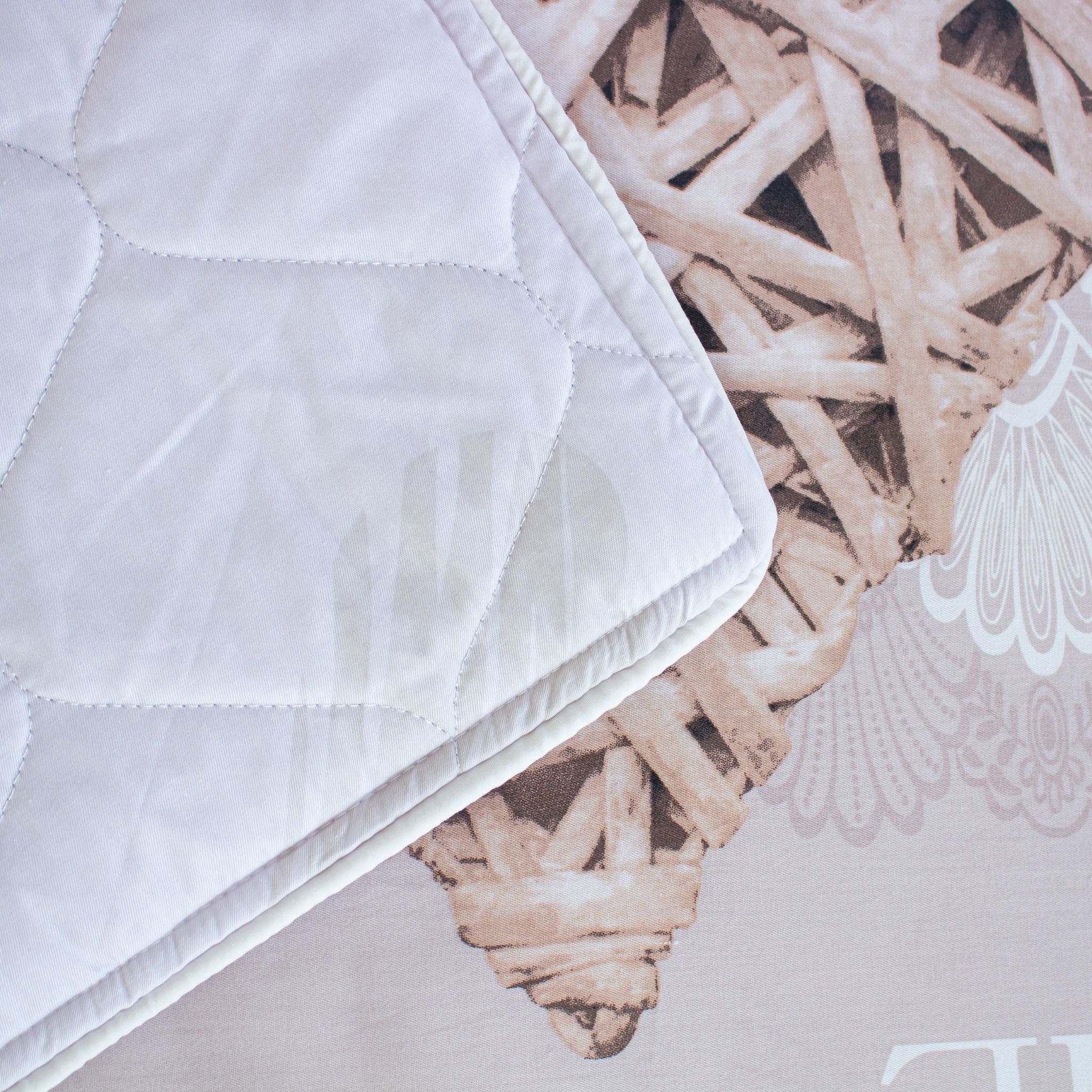  Vỏ Gối Lẻ Cotton Vanila 257 