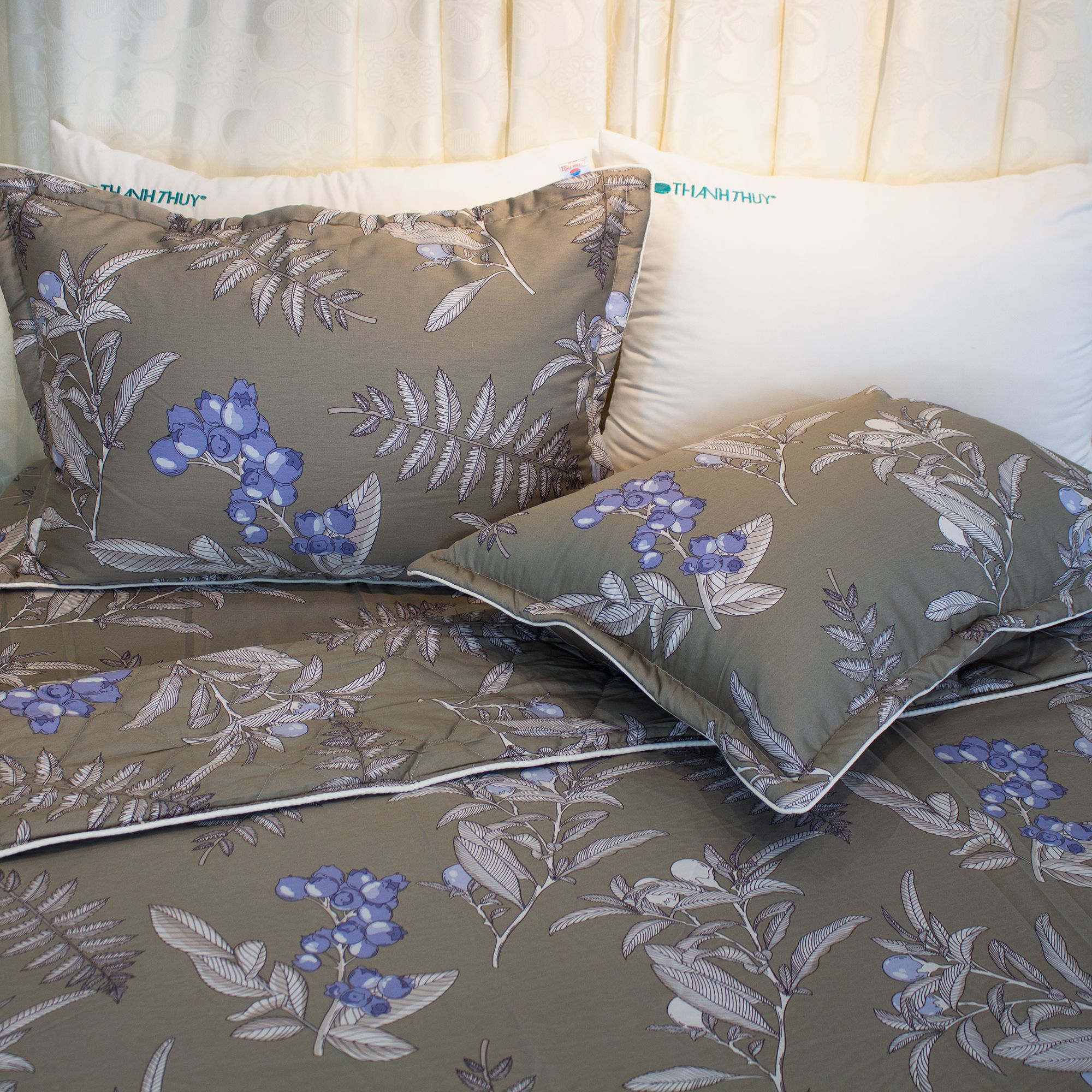  Chăn Lẻ Cotton Satin Luxury 325 