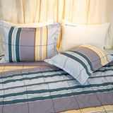  Bộ Ga Bọc Cotton Guni Họa Tiết 3 