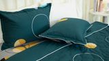  Bộ Ga Bọc Cotton Vanila (Vỏ Gối Lót Gòn) 447 