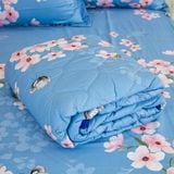  Chăn Lẻ Cotton Guni 209 