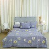  Bộ Ga Bọc Lụa Tơ Tằm 38 