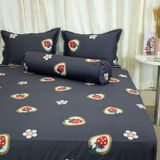  Bộ Ga Bọc Cotton Satin Luxury 220 