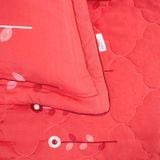  Bộ Ga Phủ Bèo Cotton Thêu Chân Màu Hồng y (6) 