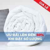  Ruột Mền Khách Sạn (ƯU ĐÃI LÊN ĐẾN 50% KHI ĐẶT HÀNG SỐ LƯỢNG) 