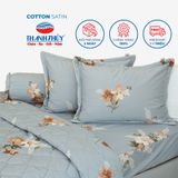  Bộ Ga Bọc Cotton Satin Deluxe 14 