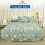  Bộ Ga Bọc Cotton Satin Deluxe 18 
