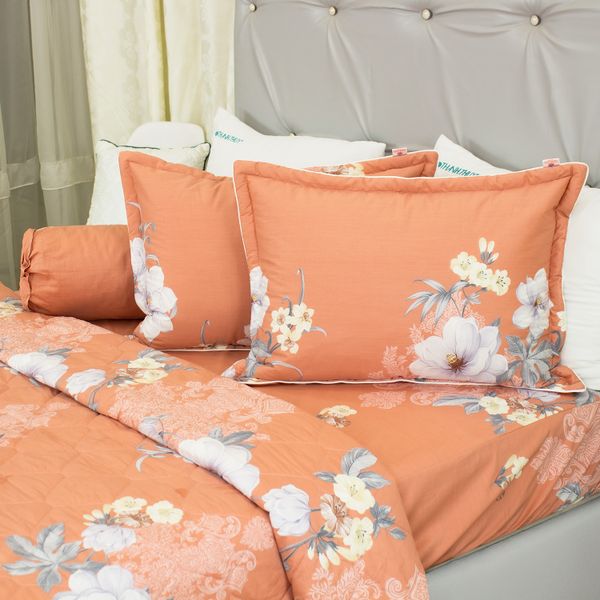  Bộ Ga Bọc Cotton Satin Deluxe 20 