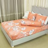  Bộ Ga Bọc Cotton Satin Deluxe 20 