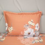  Bộ Ga Bọc Cotton Satin Deluxe 20 