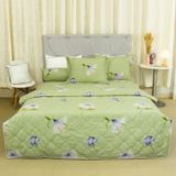  Bộ Ga Bọc Cotton Satin Deluxe 21 
