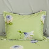  Bộ Ga Bọc Cotton Satin Deluxe 21 