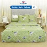  Bộ Ga Bọc Cotton Satin Deluxe 21 