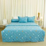  Bộ Ga Bọc Cotton Satin Deluxe 25 