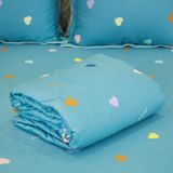  Bộ Ga Bọc Cotton Satin Deluxe 25 