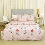  Bộ Ga Bọc Cotton Satin Deluxe 28 