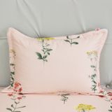  Bộ Ga Bọc Cotton Satin Deluxe 28 