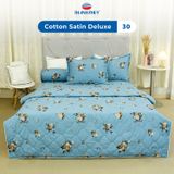  Bộ Ga Bọc Cotton Satin Deluxe 30 