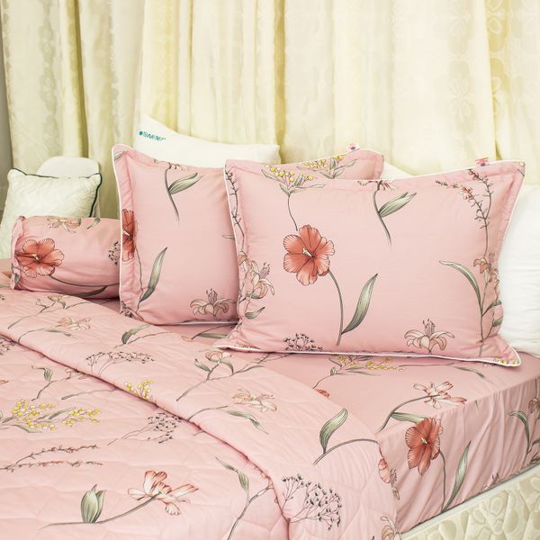  Bộ Ga Bọc Cotton Satin Deluxe 32 