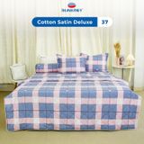  Bộ Ga Bọc Cotton Satin Deluxe 37 